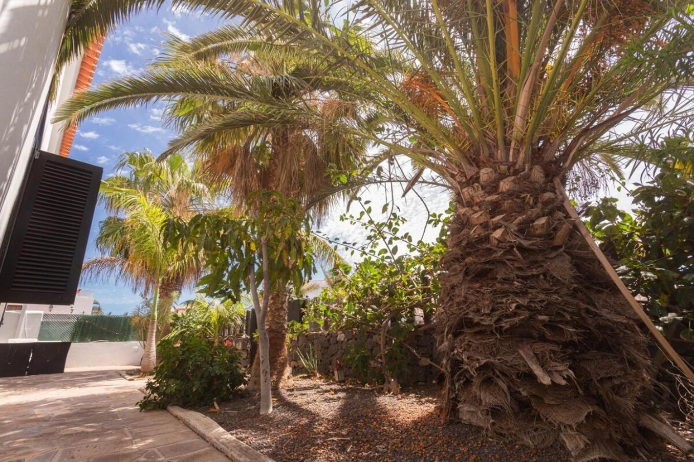 La Quinta - Wonderful 4 Bed Villa-Private Pool San Miguel de Abona Exteriör bild